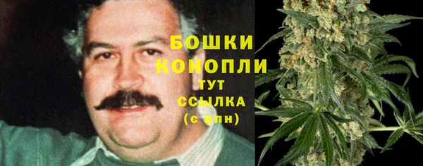 PSILOCYBIN Балахна