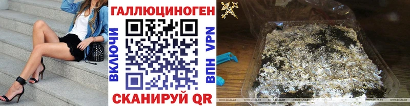 где найти   Сокол  Галлюциногенные грибы Psilocybe 